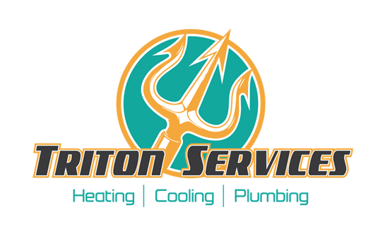 Triton Services Logo